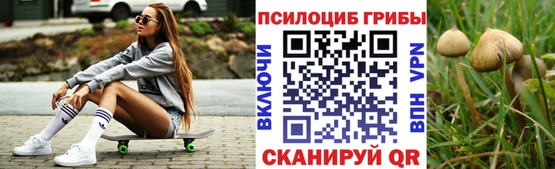 Галлюциногенные грибы прущие грибы  Среднеуральск 